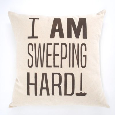 Sweeping Hard Pillow